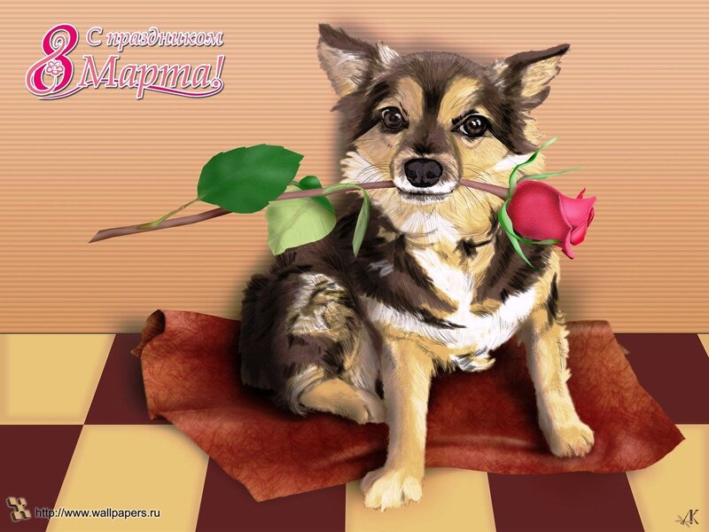 Dog Holding Rose — Brown