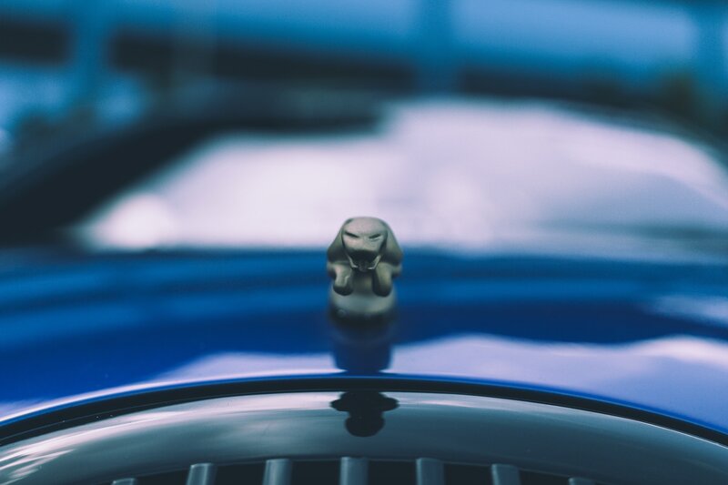 Dog Hood Ornament