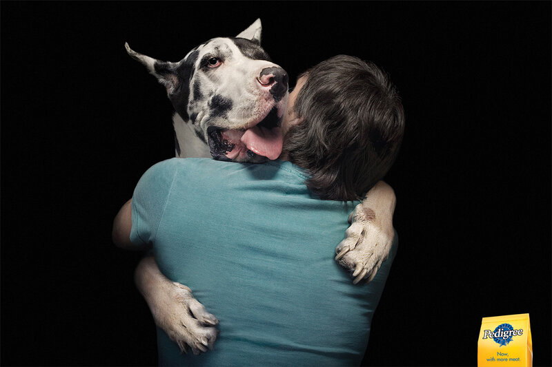 dog hugging person
