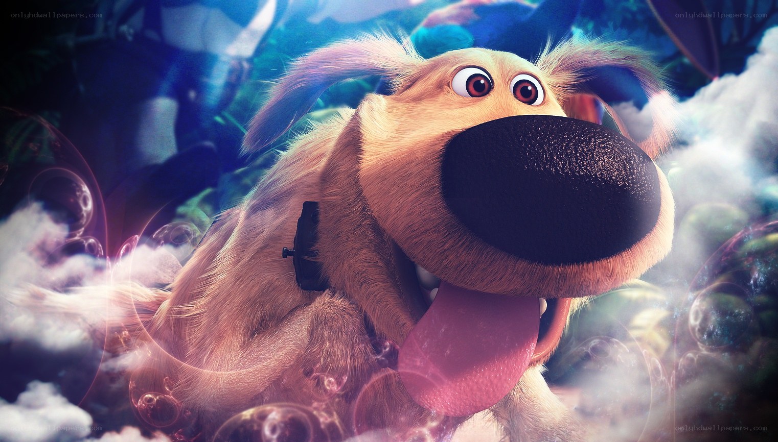 dog in a dreamlike world