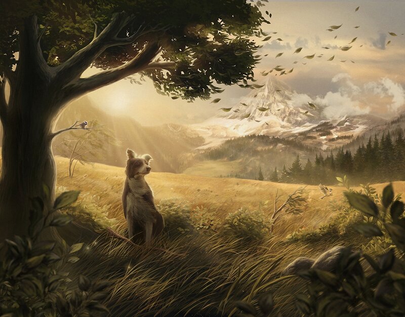Dog in a Field — Green, Serene, Sunset