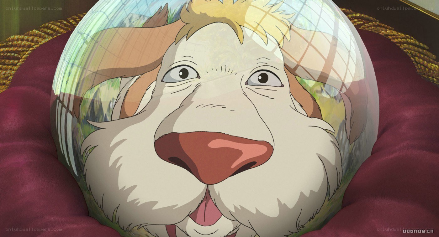 dog in a glass dome