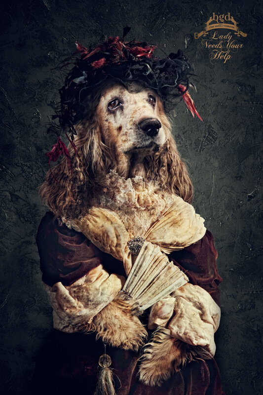 Dog in a Lady's Costume