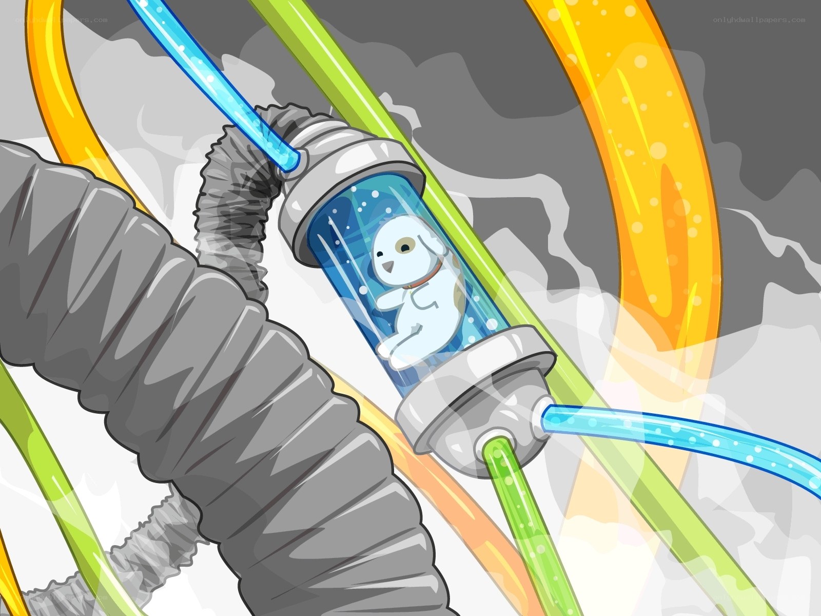 dog in a science tube