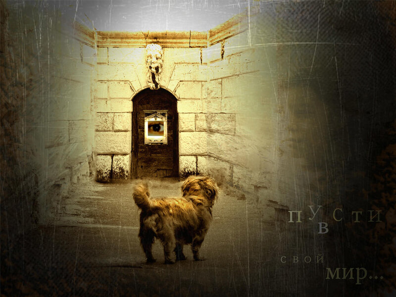 dog in a stone corridor