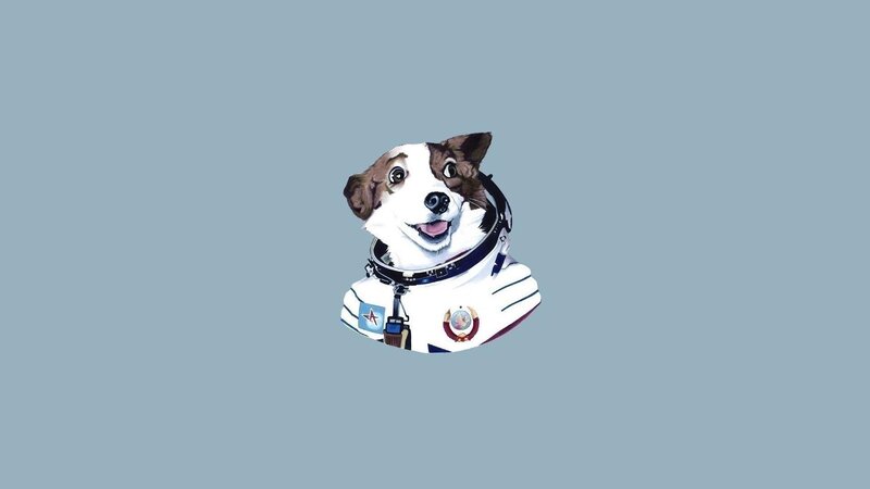 Dog in Astronaut Suit
