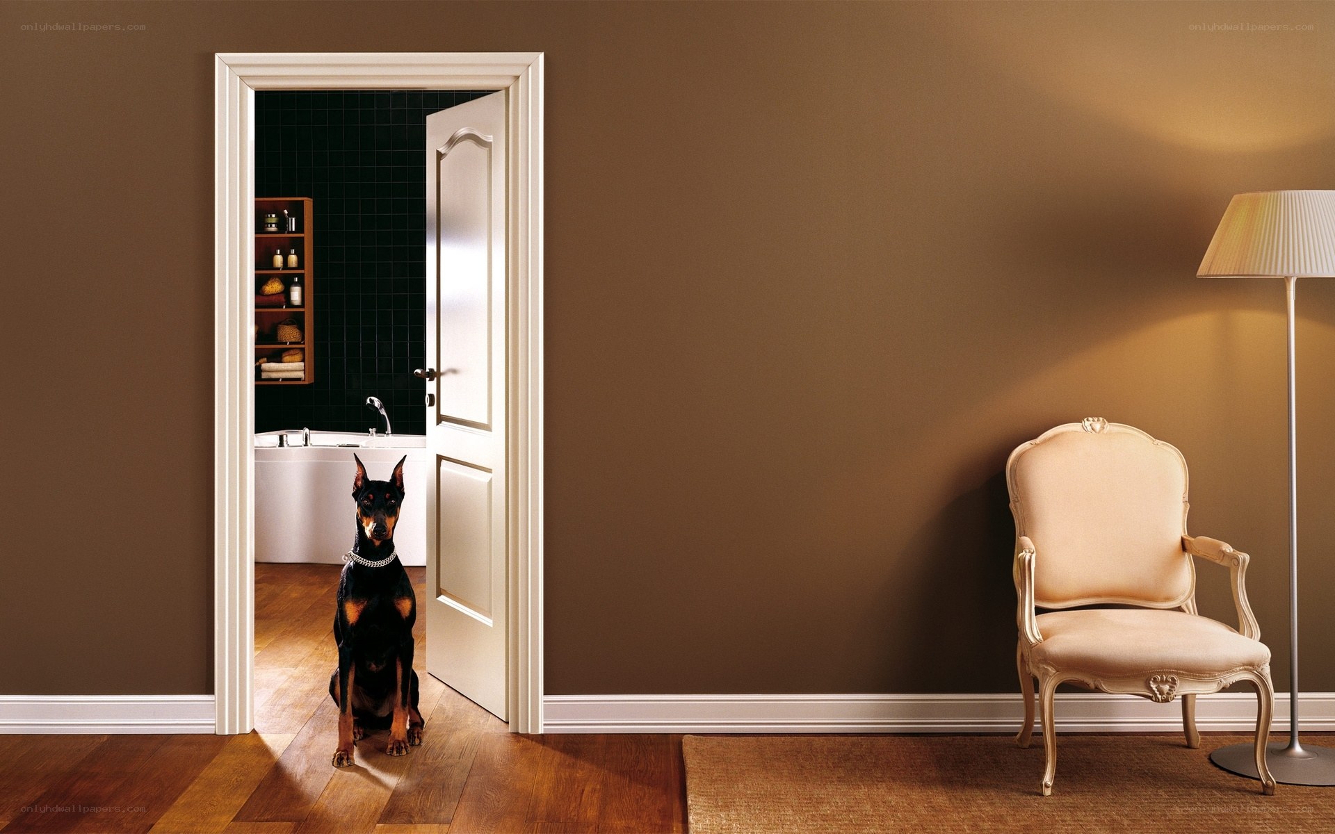 Dog in bathroom doorway