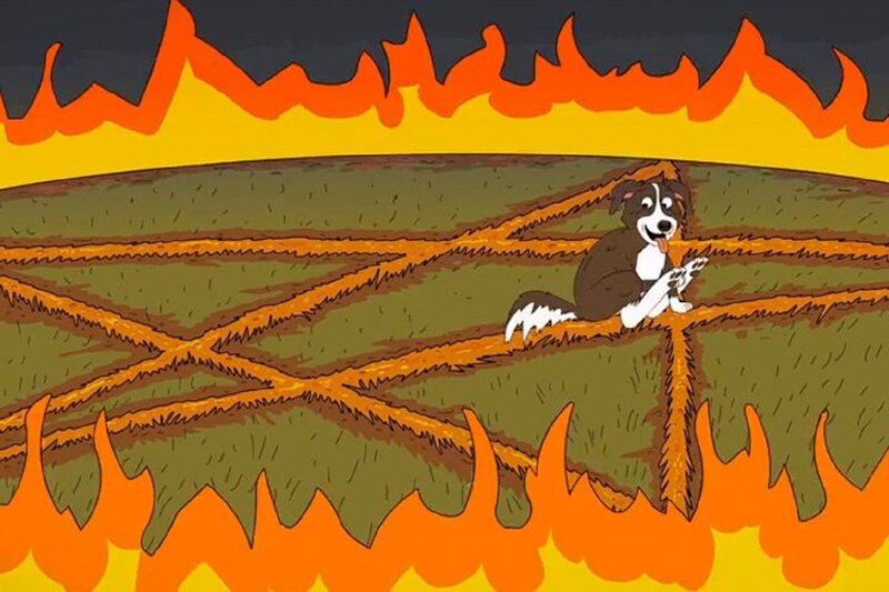 Dog in Burning Field