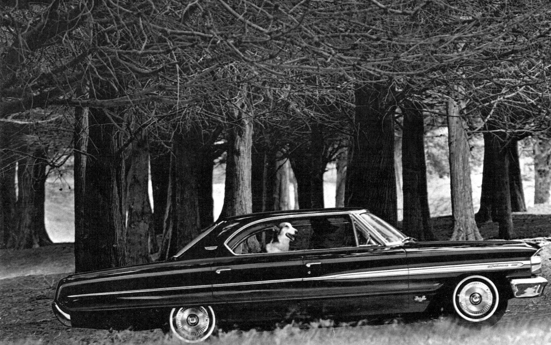 Dog in classic car under trees