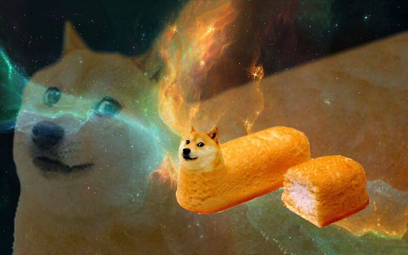 Dog in Corn Dog Costume