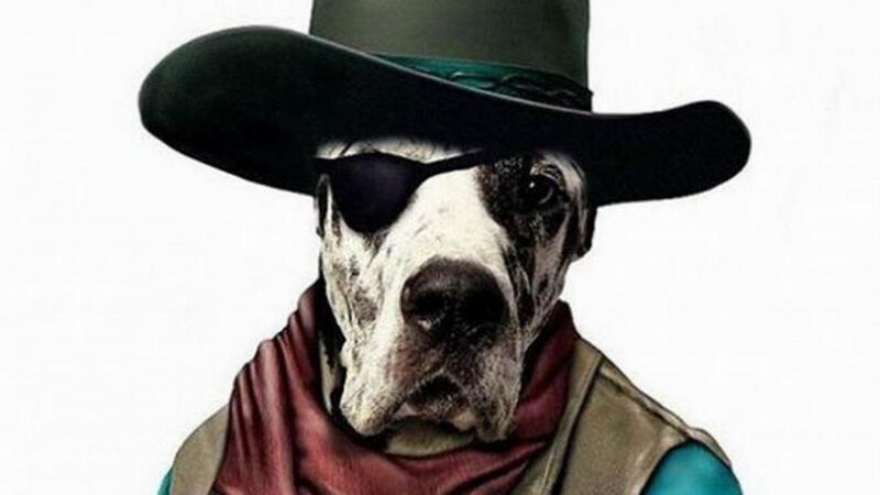 Dog in Cowboy Outfit