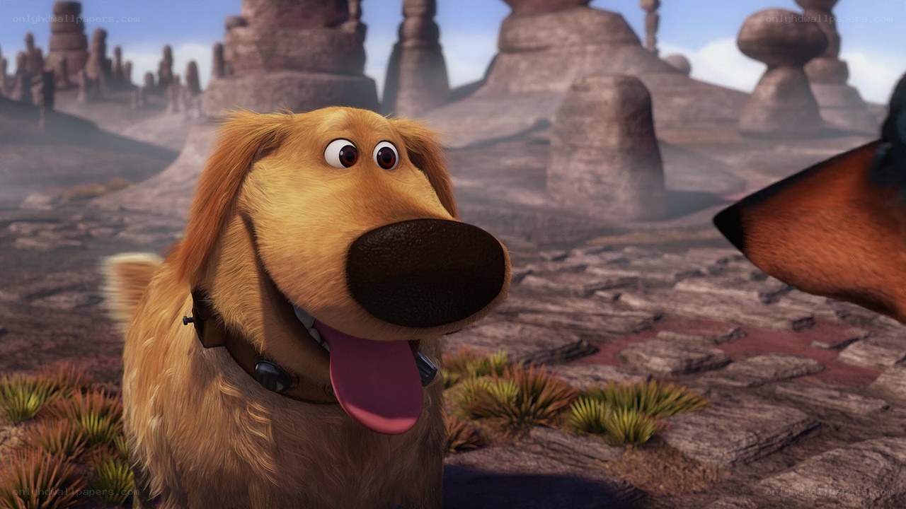 dog in desert landscape