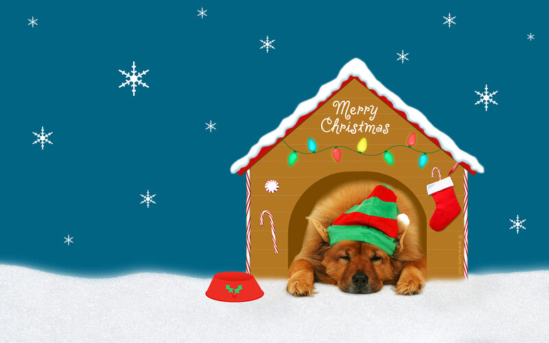 Dog in Doghouse — Blue, Festive