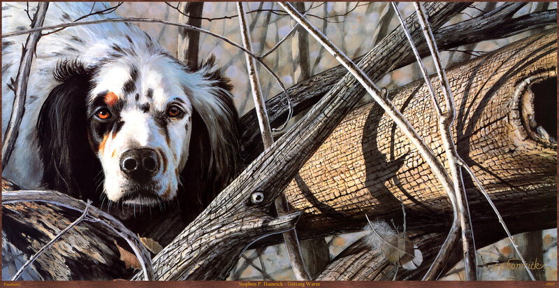 Dog in Forest Debris