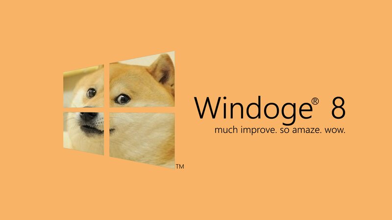 Dog in Four Panels