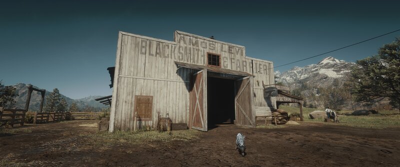 Dog in Front of Barn