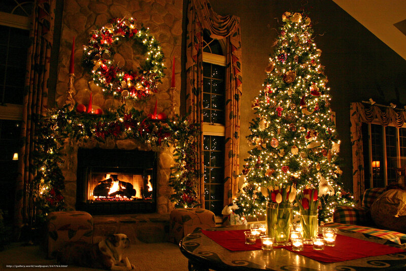 Dog in Front of Fireplace