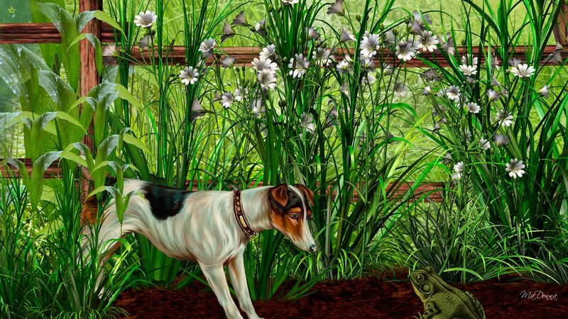 Dog in Garden — Green, Serene, Afternoon