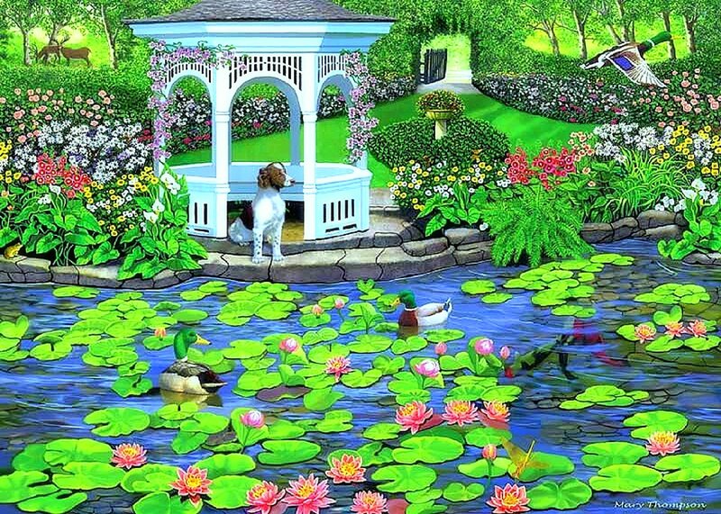 Dog in Gazebo