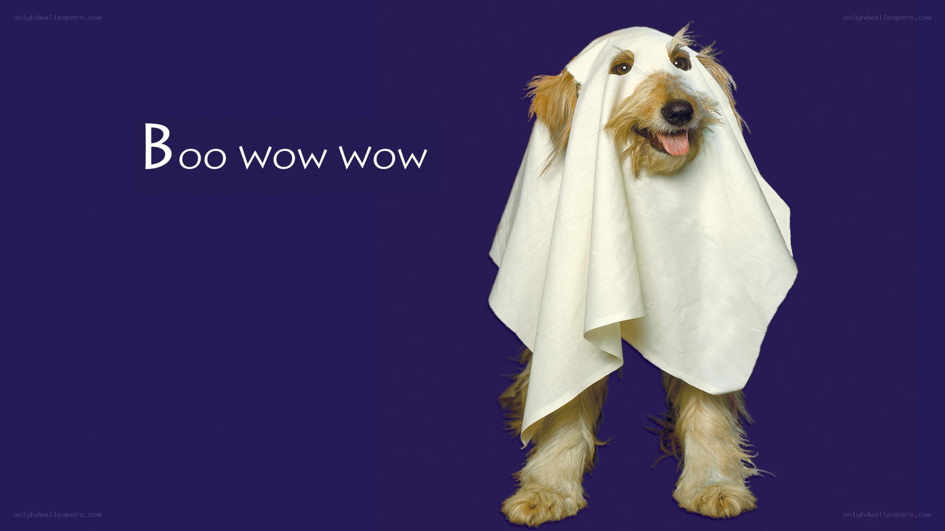 dog in ghost costume