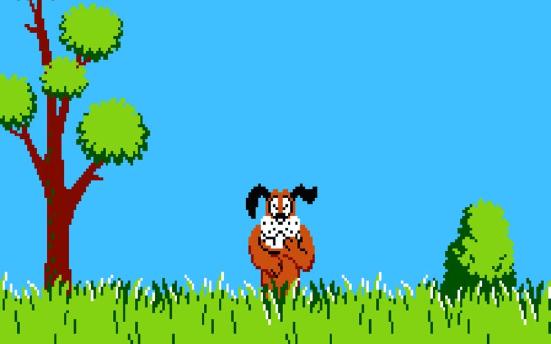 Dog in Grass — Blue, Calm