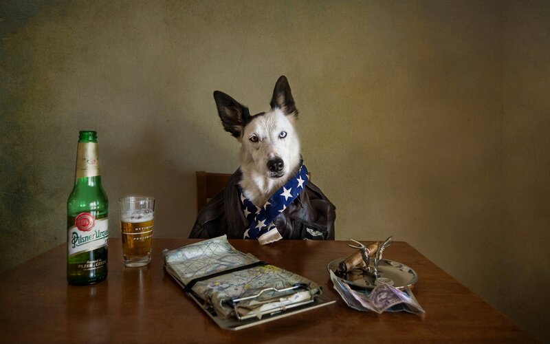 Dog in Leather Jacket
