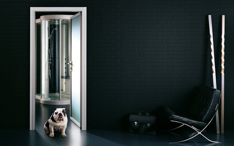 dog in modern bathroom