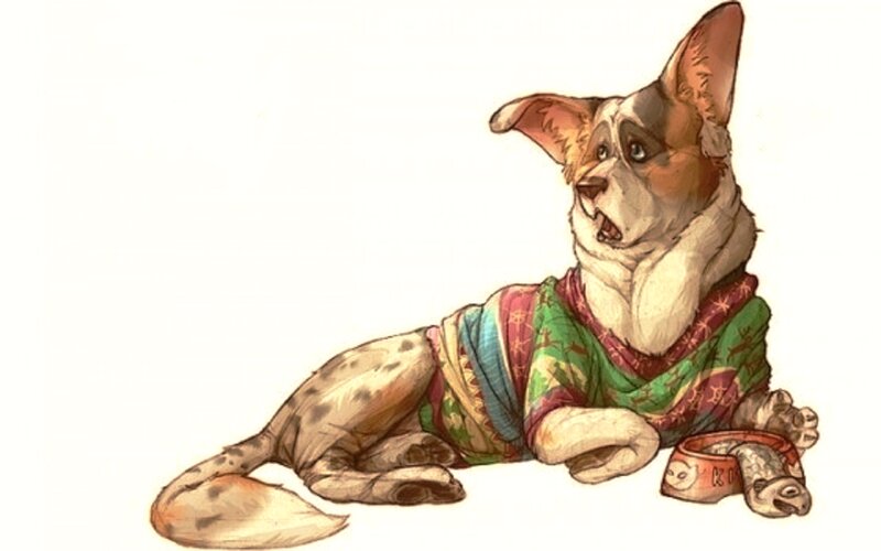 Dog in Patterned Shirt