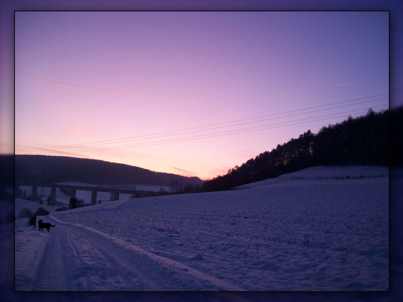 Dog in Snowy Field — Purple