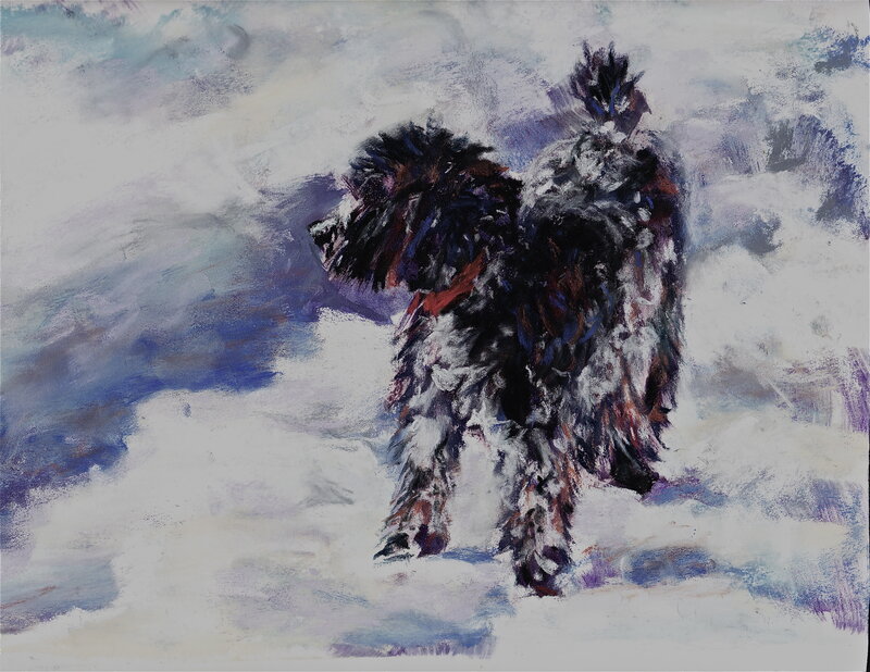 Dog in snowy landscape