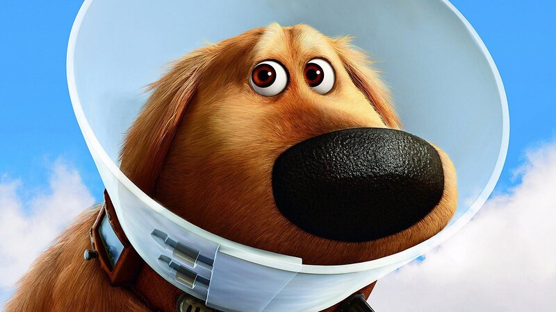 dog in space helmet