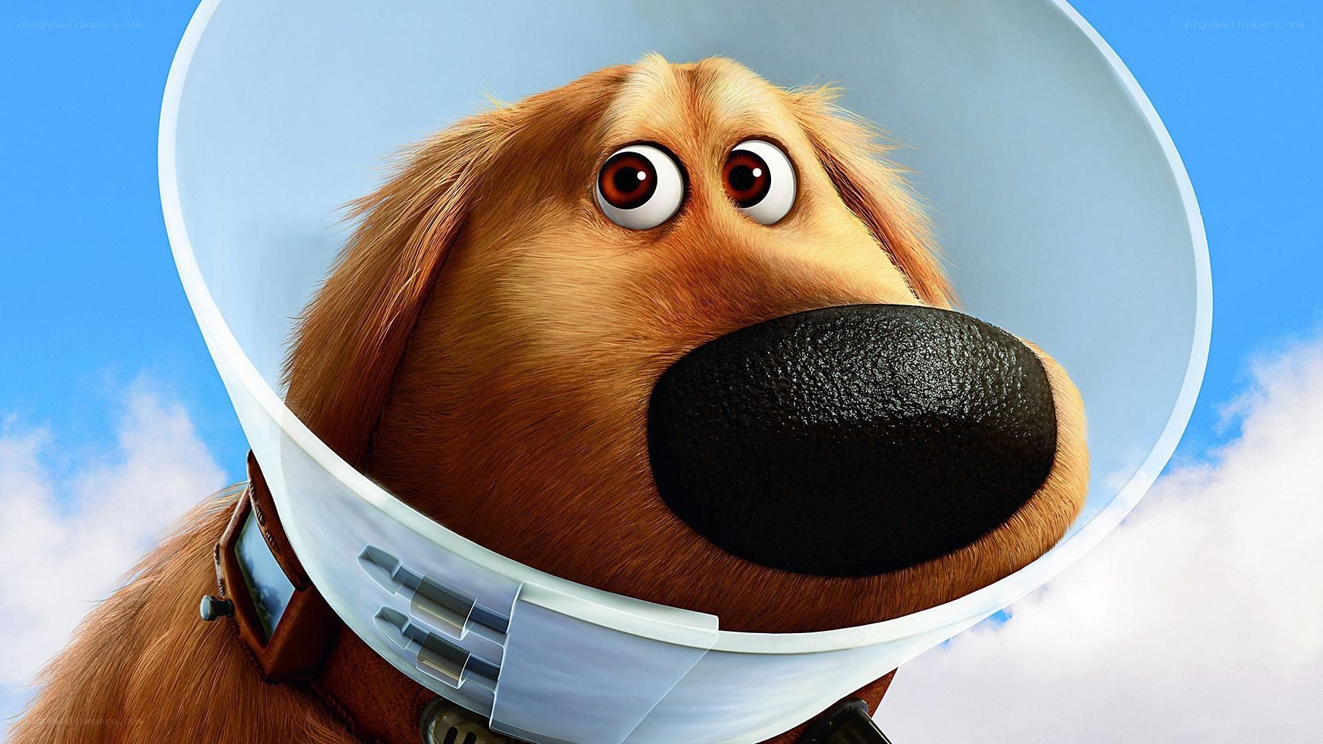 dog in space helmet