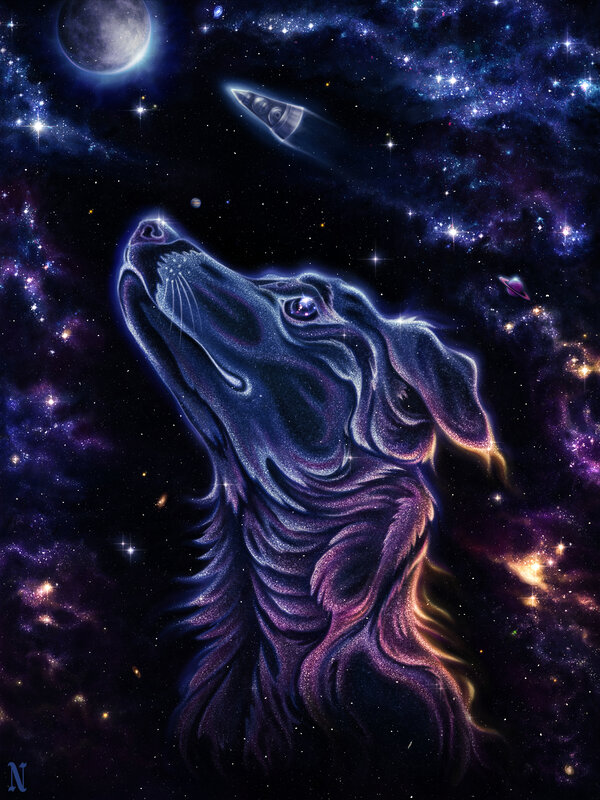 Dog in Space