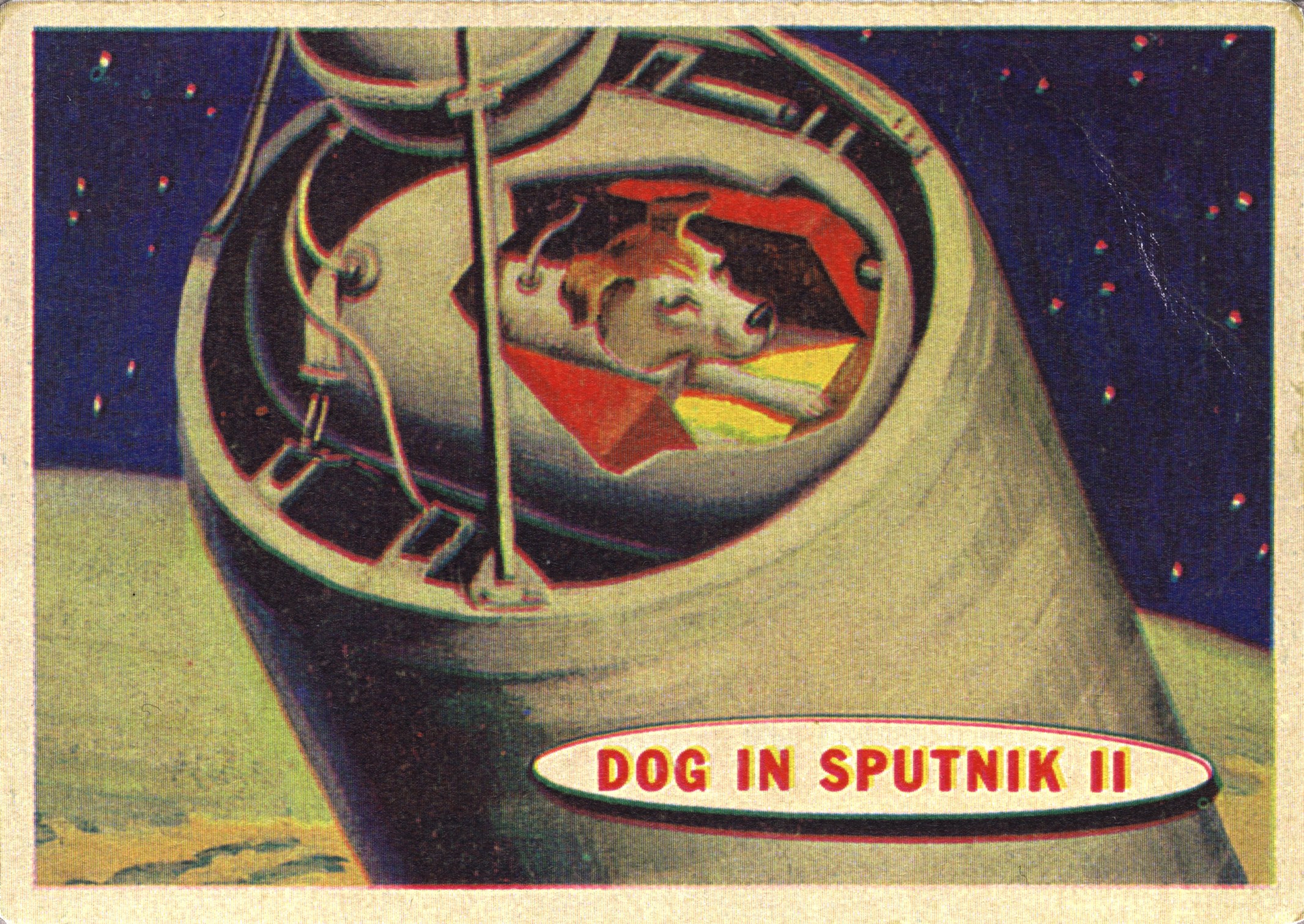 Dog in Sputnik II