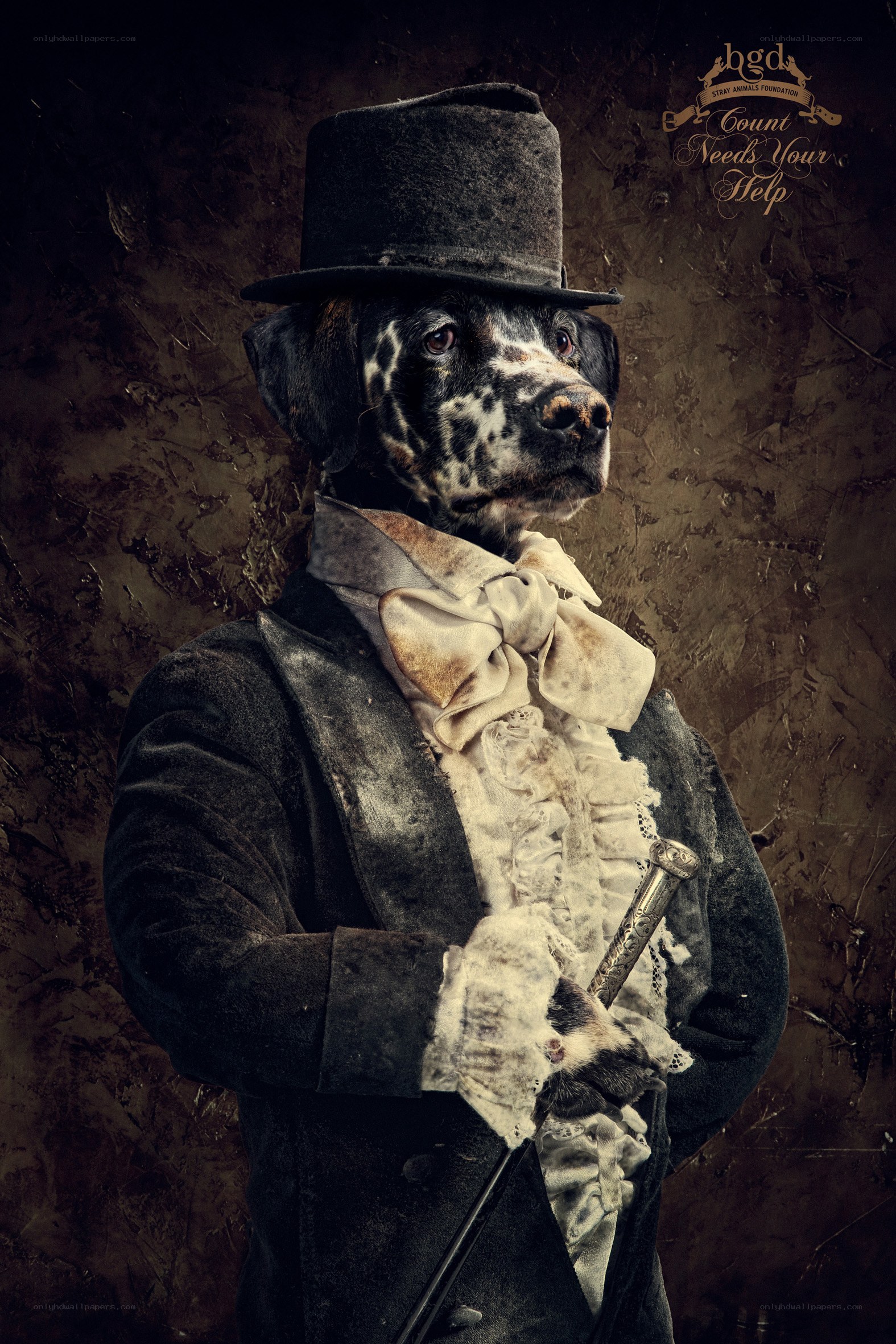 dog in top hat and coat