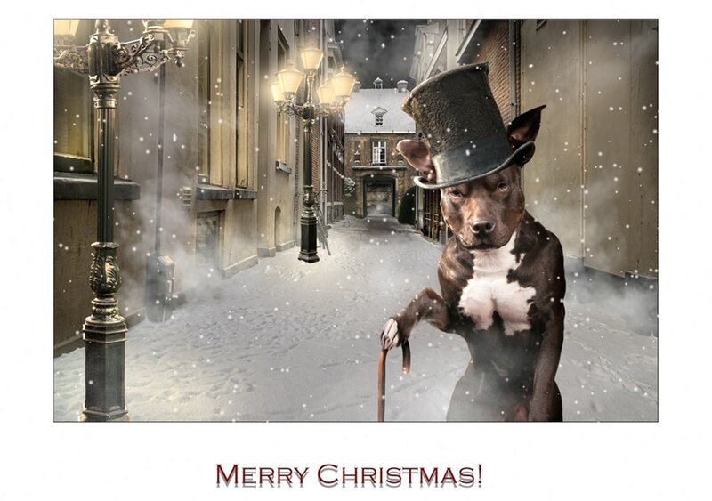 Dog in Top Hat