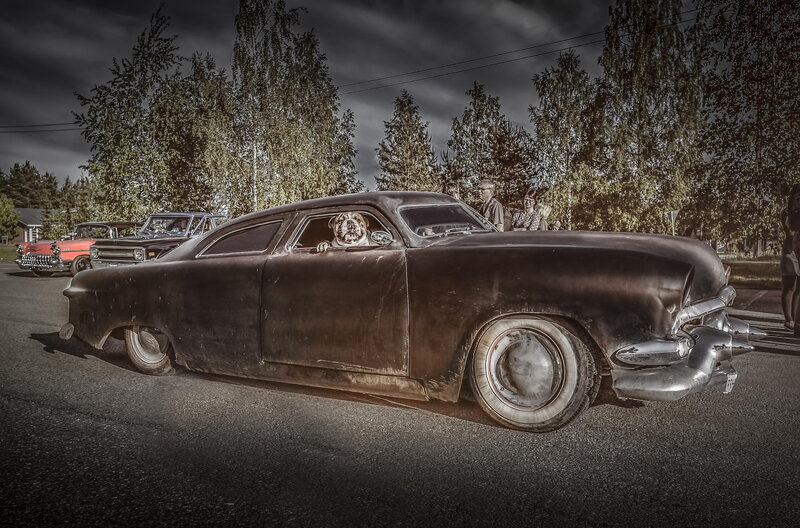 Dog in Vintage Car — Black