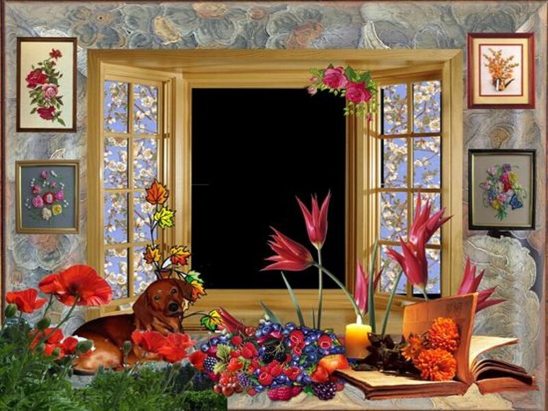 Dog in Window Scene