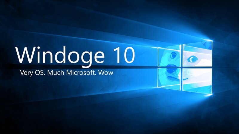 Dog in Windows Logo — Blue