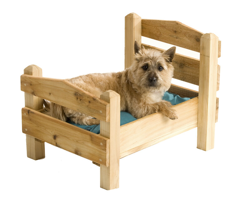 dog in wooden bed