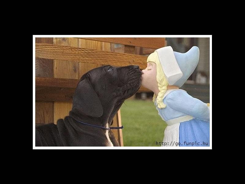 dog kissing a statue
