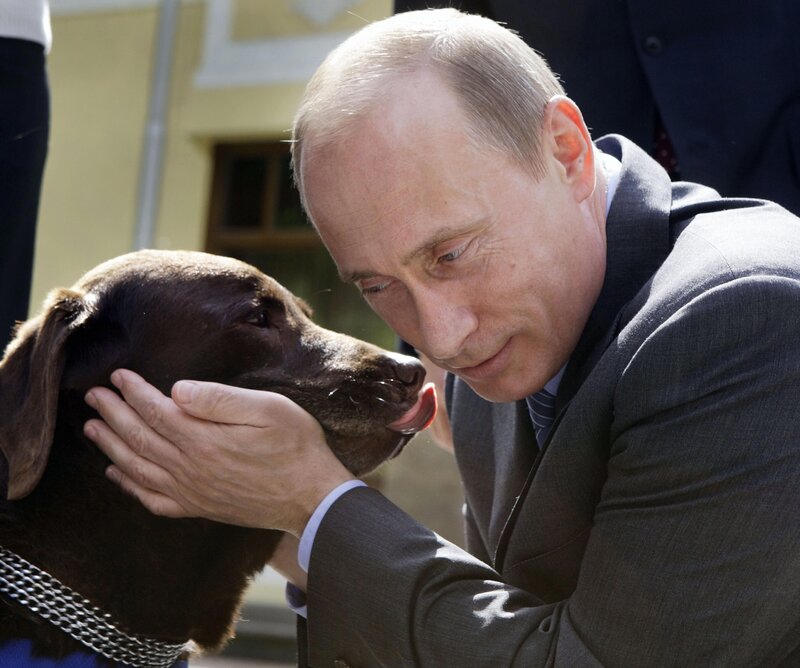 Dog Licking Man's Hand