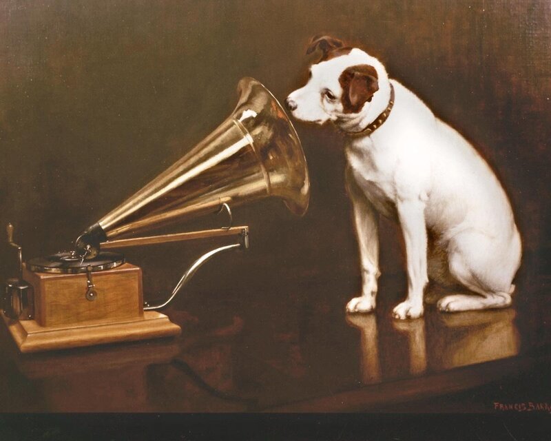 dog listening to gramophone