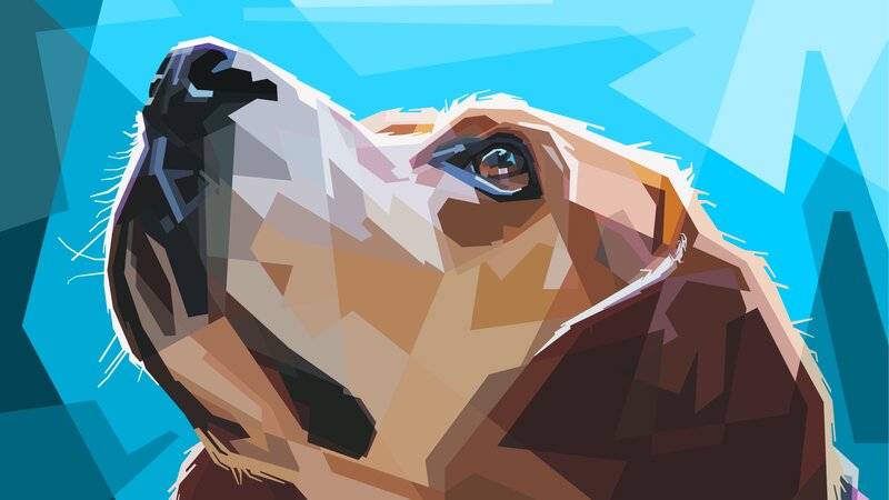 Dog Looking Up — Blue