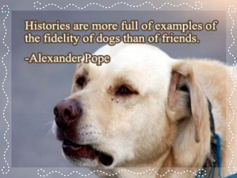 dog loyalty quote