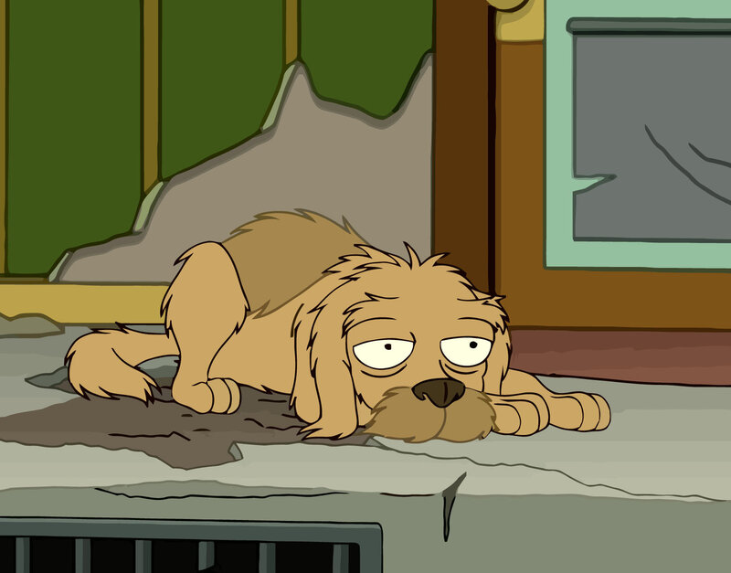 Dog Lying on Floor — Brown, Tired