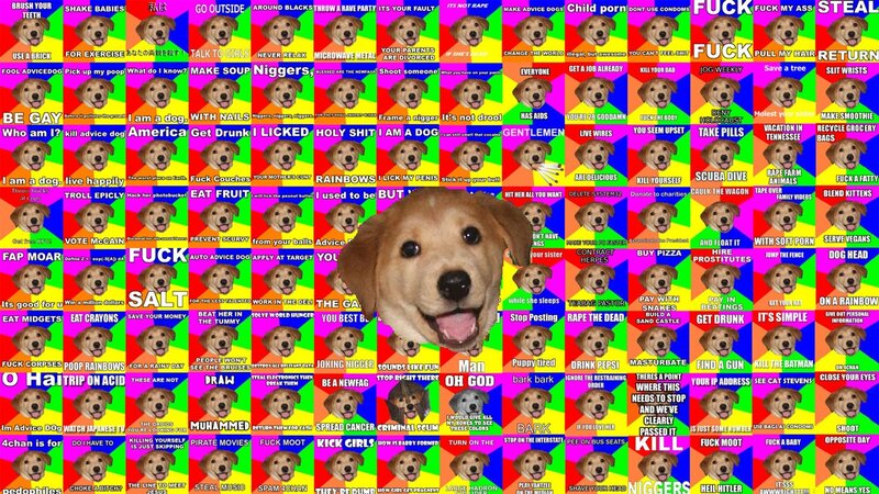 Dog meme collage