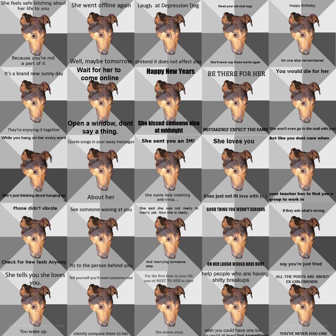 dog meme grid