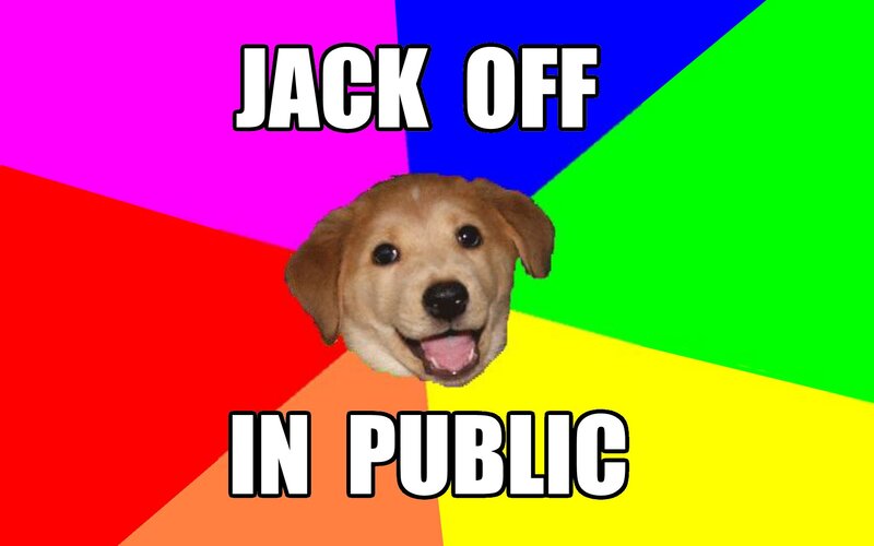 dog meme with colorful background