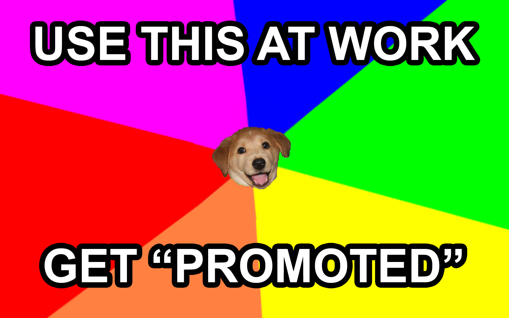 dog meme with promotion text